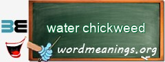 WordMeaning blackboard for water chickweed